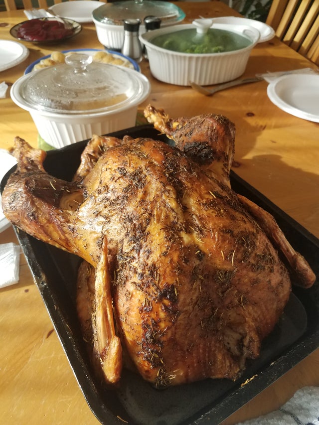 Turkey Eight Arrows Farm